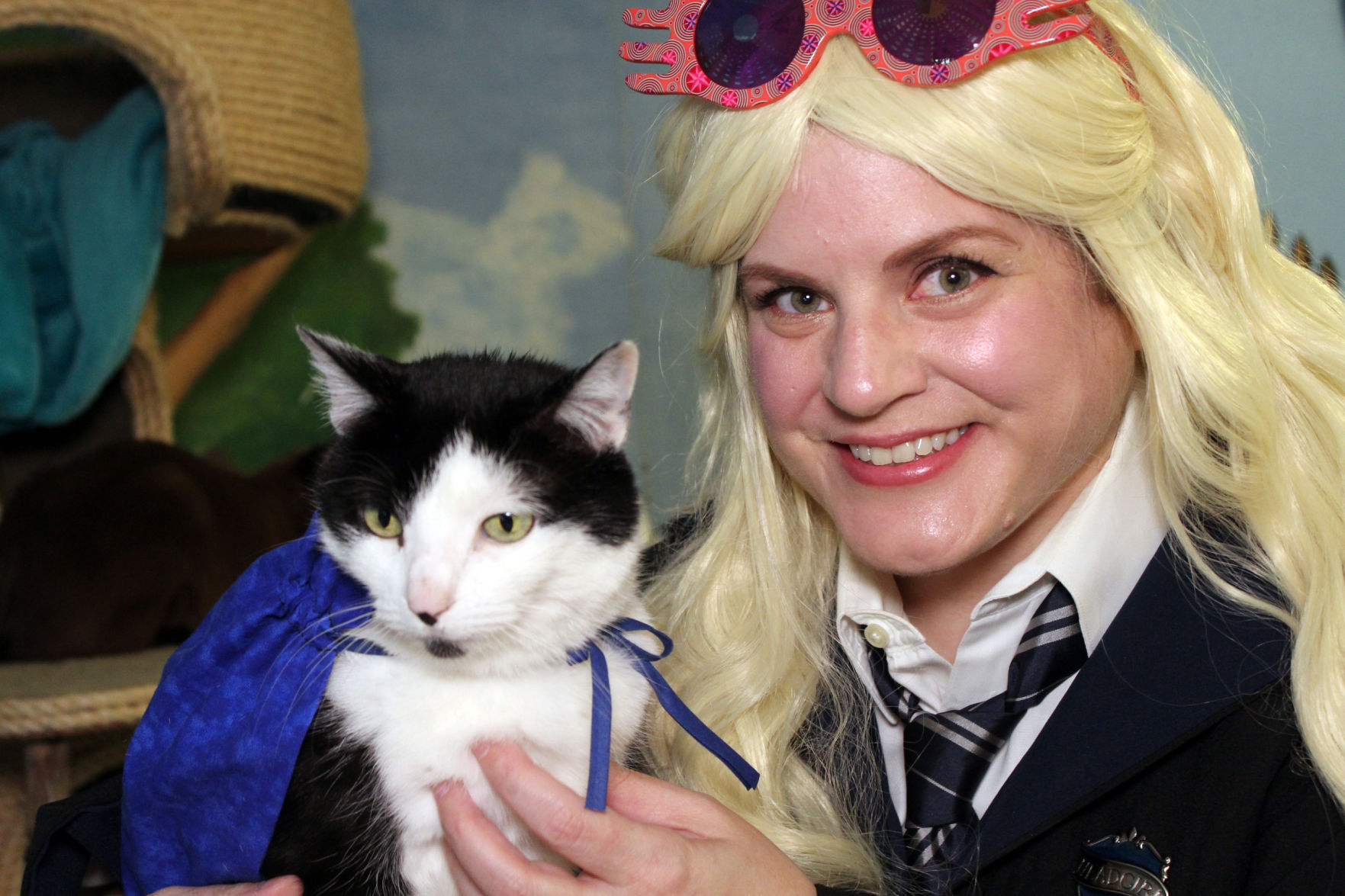 200617.news.FurryFriends.CK.2..JPG